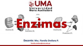 Docente: Msc. Fiorella Orellana P.
fiorella.orellana@uma.edu.pe
 