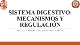 SISTEMA DIGESTIVO:
MECANISMOS Y
REGULACIÓN
MG.MV. CAMILO V. MAMANI MONDRAGÓN
 
