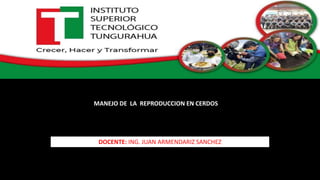 MANEJO DE LA REPRODUCCION EN CERDOS
DOCENTE: ING. JUAN ARMENDARIZ SANCHEZ
 