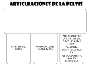 ARTICULACIONES DE LA PELVIS
SÍNFISIS DEL
PUBIS
ARTICULACIONES
SACROLIACAS
*RELAJACIÓN DE
LA SINFISIS DEL
PUBIS – 2° MITAD
EMB.
*AUMENTA
DURANTE LOS ULT.
3 M.
*DESPLAZAMIENTO
MAX. EN
LITOTOMIA.
 