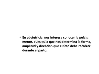  En obstetricia, nos interesa conocer la pelvis
menor, pues es la que nos determina la forma,
amplitud y dirección que el feto debe recorrer
durante el parto.
 