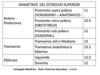 DIAMETROS DEL ESTRECHO SUPERIOR
Antero -
Posteriores
Promonto supra púbico
(VERDADERO – ANATÓMICO)
11
Promonto retro púbico
(OBSTETRICO)
10.5
Promonto sub púbico
(DIAGONAL)
12
Transverso
Transverso útil o Mediano 13
Transverso anatómico o
Máximo
13.5
Oblicuos
Izquierdo 12.5
Derecho 12
Conjugado Obstétrico : Diam. Promonto Sub pubico - 1.5 cm
 