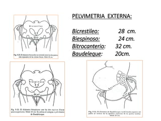 PELVIMETRIA EXTERNA:
Bicrestileo: 28 cm.
Biespinoso: 24 cm.
Bitrocanterio: 32 cm.
Baudeleque: 20cm.
 