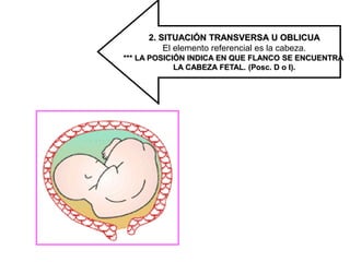 2. SITUACIÓN TRANSVERSA U OBLICUA
El elemento referencial es la cabeza.
*** LA POSICIÓN INDICA EN QUE FLANCO SE ENCUENTRA
LA CABEZA FETAL. (Posc. D o I).
 