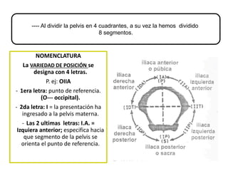 ---- Al dividir la pelvis en 4 cuadrantes, a su vez la hemos dividido
8 segmentos.
NOMENCLATURA
La VARIEDAD DE POSICIÓN se
designa con 4 letras.
P. ej: OIIA
- 1era letra: punto de referencia.
(O--- occipital).
- 2da letra: I = la presentación ha
ingresado a la pelvis materna.
- Las 2 ultimas letras: I.A. =
Izquiera anterior; especifica hacia
que segmento de la pelvis se
orienta el punto de referencia.
 
