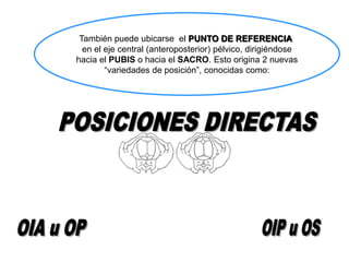 También puede ubicarse el PUNTO DE REFERENCIA
en el eje central (anteroposterior) pélvico, dirigiéndose
hacia el PUBIS o hacia el SACRO. Esto origina 2 nuevas
“variedades de posición”, conocidas como:
 
