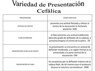 PRESENTACIÓN CARACTERÍSTICAS
CEFÁLICA DE VERTICE
presenta una actitud flectada y ofrece al
centro de la excavación la fontanela
posterior. SOB
CEFÁLICA BREGMA
el feto presenta una actitud indiferente
(discreto grado de deflexión de la cabeza), y
presenta bregma al centro de la pelvis. OF
PRESENTACIÓN CEFÁLICA DE FRENTE
la presentación se encuentra en actitud de
deflexión moderada, y la región frontal es la
presentada a la parte central de la
excavación. OM
PRESENTACIÓN DE CARA
Se caracteriza por la deflexión máxima de la
cabeza fetal, de tal manera que el occipucio
alcanza la columna cervicodorsal . SMB
 