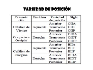VARIEDAD DE POSICIÓN
 