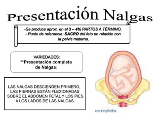 -Se produce aprox. en el 3 – 4% PARTOS A TÉRMINO.
- Punto de referencia: SACRO del feto en relación con
la pelvis materna.
VARIEDADES:
**Presentación completa
de Nalgas:
LAS NALGAS DESCIENDEN PRIMERO,
LAS PIERNAS ESTÁN FLEXIONADAS
SOBRE EL ABDOMEN FETAL Y LOS PIES
A LOS LADOS DE LAS NALGAS.
 