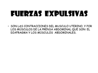 Fuerzas expulsivas
 SON LAS CONTRACCIONES DEL MUSCULO UTERINO, Y POR
LOS MÚSCULOS DE LA PRENSA ABDOMINAL QUE SON: EL
DIAFRAGMA Y LOS MÚSCULOS ABDOMINALES.
 