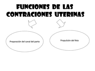FUNCIONES DE LAS
CONTRACIONES UTERINAS
Preparación del canal del parto Propulsión del feto
 