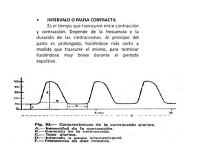 • INTERVALO O PAUSA CONTRACTIL
Es el tiempo que transcurre entre contracción
y contracción. Depende de la frecuencia y la
duración de las contracciones. Al principio del
parto es prolongado, haciéndose más corto a
medida que trascurre el mismo, para terminar
haciéndose muy breve durante el período
expulsivo.
 