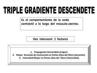 Es el comportamiento de la onda
contráctil a lo largo del músculo uterino.
Van intervenir 3 factores
1. Propagación Descendete (origen).
2. Mayor Duración de Contracción en Partes Altas del Útero (duración).
3. Intensidad Mayor en Partes altas del Útero (intensidad).
 