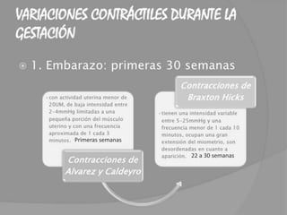 Primeras semanas
22 a 30 semanas
 