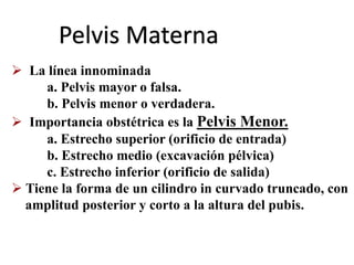  La línea innominada
a. Pelvis mayor o falsa.
b. Pelvis menor o verdadera.
 Importancia obstétrica es la Pelvis Menor.
a. Estrecho superior (orificio de entrada)
b. Estrecho medio (excavación pélvica)
c. Estrecho inferior (orificio de salida)
 Tiene la forma de un cilindro in curvado truncado, con
amplitud posterior y corto a la altura del pubis.
Pelvis Materna
 