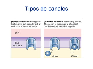 Tipos de canales
 