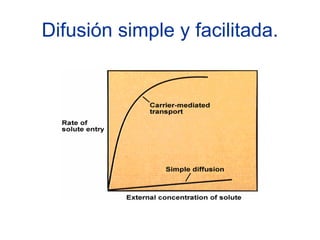 Difusión simple y facilitada.
 