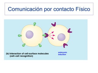 Comunicación por contacto Físico
 