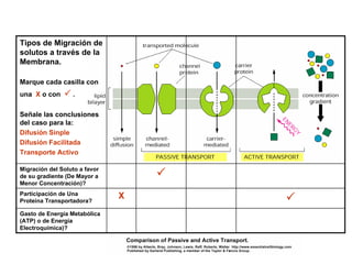 Tipos de Migración de
solutos a través de la
Membrana.

Marque cada casilla con
una X o con       .

Señale las conclusiones
del caso para la:
Difusión Sinple
Difusión Facilitada
Transporte Activo

Migración del Soluto a favor
de su gradiente (De Mayor a
Menor Concentración)?
Participación de Una           X
Proteína Transportadora?

Gasto de Energía Metabólica
(ATP) o de Energía
Electroquímica)?
 