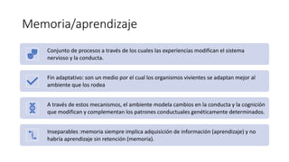 Memoria/aprendizaje
Conjunto de procesos a través de los cuales las experiencias modifican el sistema
nervioso y la conducta.
Fin adaptativo: son un medio por el cual los organismos vivientes se adaptan mejor al
ambiente que los rodea
A través de estos mecanismos, el ambiente modela cambios en la conducta y la cognición
que modifican y complementan los patrones conductuales genéticamente determinados.
Inseparables :memoria siempre implica adquisición de información (aprendizaje) y no
habría aprendizaje sin retención (memoria).
 