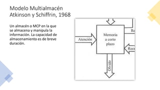 Modelo Multialmacén
Atkinson y Schiffrin, 1968
Un almacén o MCP en la que
se almacena y manipula la
información. La capacidad de
almacenamiento es de breve
duración.
 
