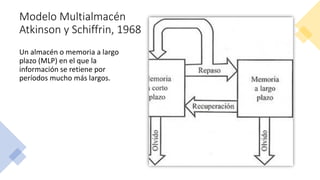 Modelo Multialmacén
Atkinson y Schiffrin, 1968
Un almacén o memoria a largo
plazo (MLP) en el que la
información se retiene por
períodos mucho más largos.
 