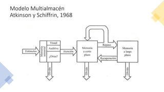 Modelo Multialmacén
Atkinson y Schiffrin, 1968
 