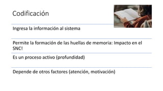 Codificación
Ingresa la información al sistema
Permite la formación de las huellas de memoria: Impacto en el
SNC!
Es un proceso activo (profundidad)
Depende de otros factores (atención, motivación)
 