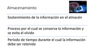 Almacenamiento
Sostenimiento de la información en el almacén
Proceso por el cual se conserva la información y
se evita el olvido
Período de tiempo durante el cual la información
debe ser retenida
 