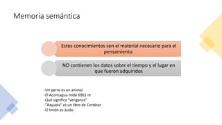 Memoria semántica
Estos conocimientos son el material necesario para el
pensamiento.
NO contienen los datos sobre el tiempo y el lugar en
que fueron adquiridos
-Un perro es un animal
-El Aconcagua mide 6961 m
-Qué significa “venganza”
-”Rayuela” es un libro de Cortázar
-El limón es ácido
 