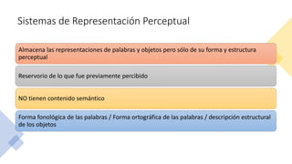 Sistemas de Representación Perceptual
Almacena las representaciones de palabras y objetos pero sólo de su forma y estructura
perceptual
Reservorio de lo que fue previamente percibido
NO tienen contenido semántico
Forma fonológica de las palabras / Forma ortográfica de las palabras / descripción estructural
de los objetos
 