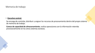 Memoria de trabajo
• Ejecutivo central:
Se encarga de controlar, distribuir y asignar los recursos de procesamiento dentro del propio sistema
de memoria de trabajo.
Carece de capacidad de almacenamiento: realiza operaciones con la información retenida
provisionalmente en los otros sistemas esclavos.
 