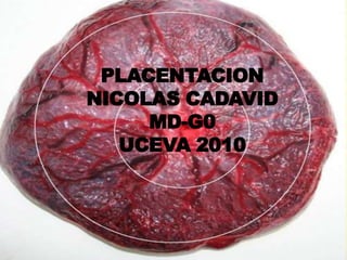 PLACENTACION
NICOLAS CADAVID
     MD-G0
   UCEVA 2010
 