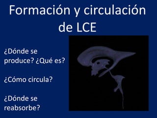 Clase5 vascularizacionmeningesyventriculos-151026002005-lva1-app6892 | PDF