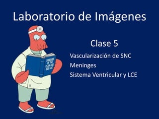Laboratorio de Imágenes
Vascularización de SNC
Meninges
Sistema Ventricular y LCE
Clase 5
 