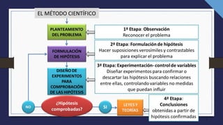 ETAPAS DEL METODO CIENTIFICO Y SUS ETAPAS | PDF