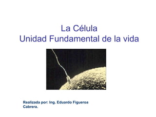 La Célula
Unidad Fundamental de la vida
Realizada por: Ing. Eduardo Figueroa
Cabrera.
 