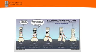 Universidad Nacional
Federico Villarreal
 