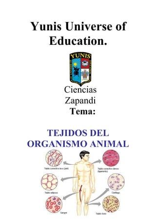 Yunis Universe of
Education.
Ciencias
Zapandi
Tema:
TEJIDOS DEL
ORGANISMO ANIMAL
 