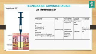 TECNICAS DE ADMINISTRACION
Vía intramuscular
Ángulo de 90º
Vacuna Vía Paciente Lugar Técnica
DTP-DTPa
dt
Antihepatitis A
Antihepatitis B
Hib
Antigripal
Antineumocócica Conjugada
Antimeningocócica C Conjugada
Intramuscular
Recien Nacidos
< 12 meses
> 12 meses
Preescolares
Escolares
Adolecentes
Adultos
Anterolateral
del
muslo
Deltoides
Colocar con
un ángulo de
90º
 
