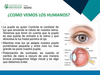 • La pupila es quien Controla la cantidad de
luz que enciende la célula de nuestra retina.
Tenemos que tener en cuenta que la pupila
es esa puerta de entrada a la retina y que
atraviesa la luz hasta penetra al ojo
• Mientras mas luz se adapta nuestra pupila
poniéndose pequeña y entre mas luz mas
grande se pone nuestra pupila.
• Polarización de contraste: es cuando el
cambio de claro a oscuro de una manera
brusca conseguimos fatiga visual y es algo
que debemos evitar.
¿COMO VEMOS LOS HUMANOS?
 