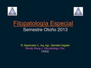 Fitopatología Especial
Semestre Otoño 2013
R. Sepúlveda V., Ing. Agr., Sanidad Vegetal
Wendy Wong J., Microbióloga, Dra.
CHILE
 