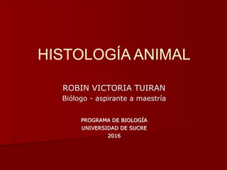HISTOLOGÍA ANIMAL
ROBIN VICTORIA TUIRAN
Biólogo - aspirante a maestría
PROGRAMA DE BIOLOGÍA
UNIVERSIDAD DE SUCRE
2016
 
