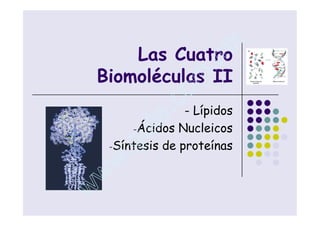 Las Cuatro
                                     x
                                 . m
            Biomoléculas II   m
                            o
                         .c- Lípidos
                        e Nucleicos
                      t
                   Ácidos
                    u de proteínas
                     -

                -
                 .g
              Síntesis
               w
             w
           w
Autor: Maestro en Ciencias Bioquímicas Genaro Matus Ortega
 genaromatus@excite.com, genaro_matus@hotmail.com
 