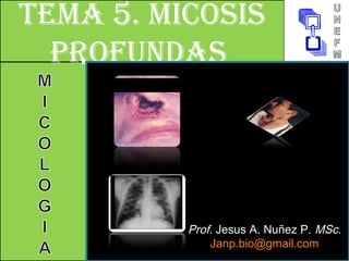 TEMA 5. Micosis
profundAs
Prof. Jesus A. Nuñez P. MSc.
Janp.bio@gmail.com
 