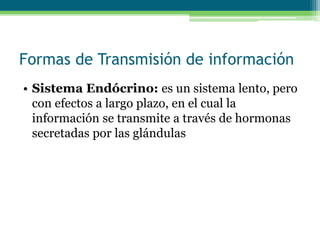 Formas de Transmisión de información
• Sistema Endócrino: es un sistema lento, pero
con efectos a largo plazo, en el cual la
información se transmite a través de hormonas
secretadas por las glándulas
 