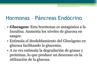 Hormonas – Páncreas Endócrino
• Glucagon: Esta hormonas es antagónica a la
Insulina. Aumenta los niveles de glucosa en
sangre.
• Estimula el desdoblamiento del Glucógeno en
glucosa facilitando la glucemia.
• A su vez estimula la degradación de grasas y
proteínas, lo que produce un descenso en la
utilización de la glucosa.
 