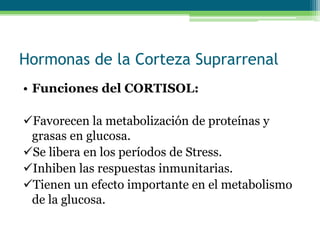 Hormonas de la Corteza Suprarrenal
• Funciones del CORTISOL:
Favorecen la metabolización de proteínas y
grasas en glucosa.
Se libera en los períodos de Stress.
Inhiben las respuestas inmunitarias.
Tienen un efecto importante en el metabolismo
de la glucosa.
 