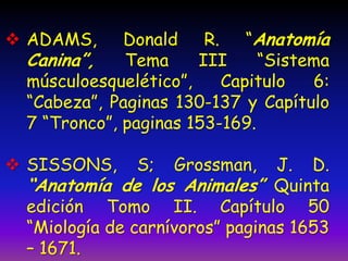 Donald
R.
“Anatomía
Canina”,
Tema
III
“Sistema
músculoesquelético”,
Capitulo
6:
“Cabeza”, Paginas 130-137 y Capítulo
7 “Tronco”, paginas 153-169.

 ADAMS,

 SISSONS,

S;

Grossman,

J. D.
“Anatomía de los Animales” Quinta
edición Tomo II. Capítulo 50
“Miología de carnívoros” paginas 1653
– 1671.

 