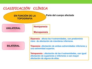 CLASIFICACIÓN CLÍNICA
EN FUNCIÓN DE LA
TOPOGRAFIA
UNILATERAL
BILATERAL
Hemiparesia
Monoparesia
Diparesia: afecta las 4 extremidades, con predominio
claro de afectación de miembros inferiores.
Triparesia: afectación de ambas extremidades inferiores y
una extremidad superior.
Tetraparesia : afectación de las 4 extremidades, con igual
afectación de superiores e inferiores o con mayor
afectación de alguna de ellas.
Parte del cuerpo afectada
 